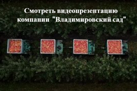 Ролик Владимировский сад