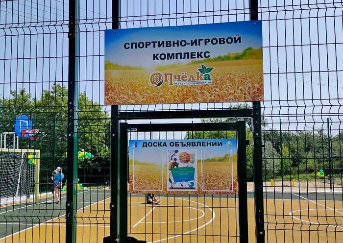 «Пчёлка» организует бесплатные тренировки по баскетболу  