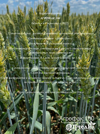Пшеница озимая мягкая Агрофак 100